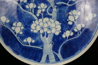 2 x LARGE Antique Chinese Blue and White Porcelain Prunus Charger KANGXI 19th C 6