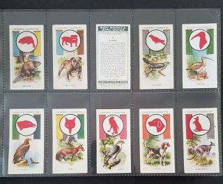 Cigarette Cards - Players - Boy Scouts & Girl Guides - Full Set - Vg - Ex