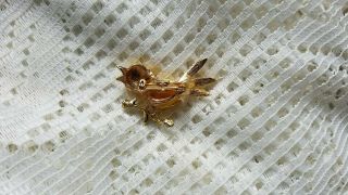 VINTAGE GOLD - TONE JELLY BELLY / BEAN BIRD PIN / BROOCH 2