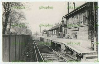 Postcard Size Photo Beddington Lane Railway Station Croydon Surrey Vintage 1961