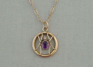 Antique Edwardian 9 Carat Gold Amethyst Seed Pearl Spider Pendant & Chain Insect