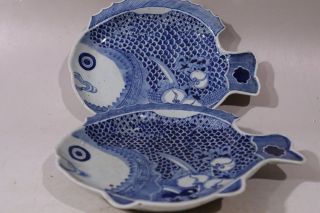 Chinese A Pair Export Imari Blue White Porcelain Fish Plates