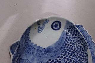 Chinese A Pair Export Imari blue white Porcelain Fish Plates 4