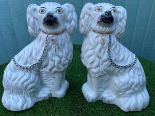 Pair: 19thc Staffordshire Seated White & Gilt Spaniel Dogs,  C1880s