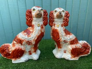 Pair V.  Large 19thc Staffordshire Russet Red & White Spaniel Dogs C1880s