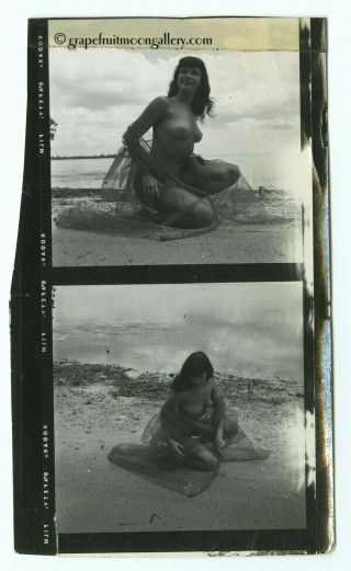 Bunny Yeager Vintage Bettie Page 1954 Hand Signed Two Image Contact Sheet Photo