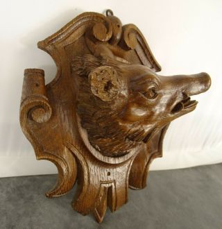 Antique French Hand Carved Oak Wood - Head Of Wild Boar On Escutcheon