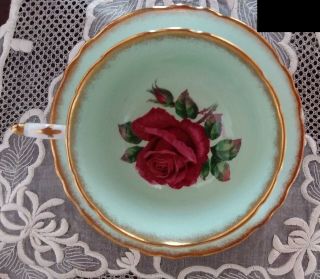 Vintage Paragon England Large Cabbage Rose Pale Green Cup and Saucer.  1940 - s.  Ha 3