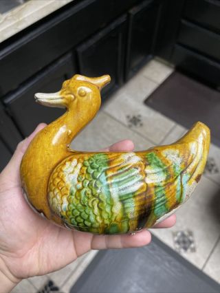 From Estate Old Chinese Tang Sancai Pottery Duck Asian China