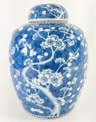 Antique Chinese 17th/18th Century Blue And White Prunus Ginger Jar Kangxi