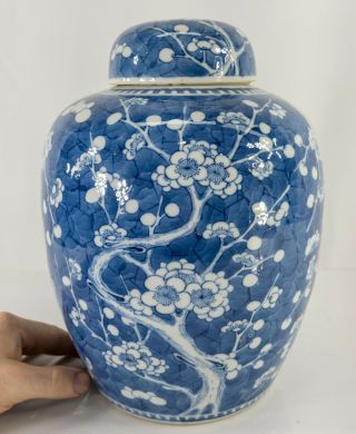 Antique Chinese 17th/18th Century Blue and White Prunus Ginger Jar Kangxi 2