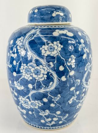 Antique Chinese 17th/18th Century Blue and White Prunus Ginger Jar Kangxi 3