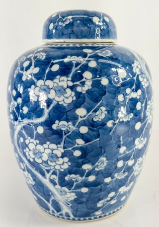 Antique Chinese 17th/18th Century Blue and White Prunus Ginger Jar Kangxi 4