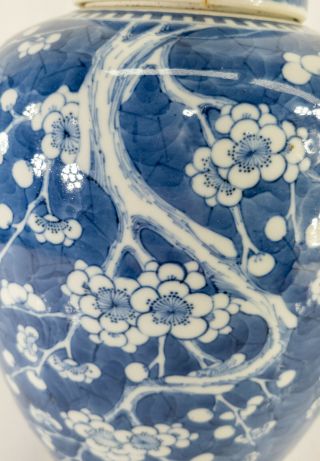 Antique Chinese 17th/18th Century Blue and White Prunus Ginger Jar Kangxi 6