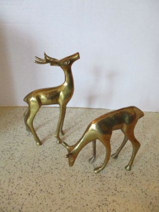 2 Vintage Brass Deer Figurines,  Doe 4.  5 " High X 4.  5 " Wide & Buck 6.  5 " High X3.  5 "