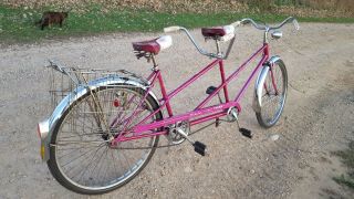 65 Chicago Schwinn Twinn Tandem Vintage Full Size Adult Cruiser Bicycle