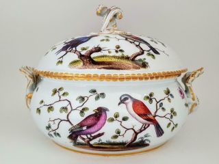 Large Antique 19th Century Meissen Porcelain Bird Insect & Floral Study Tureen