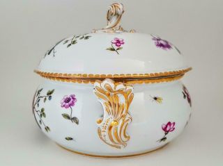 Large Antique 19th Century Meissen Porcelain Bird Insect & Floral study Tureen 2