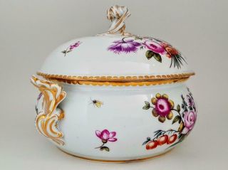 Large Antique 19th Century Meissen Porcelain Bird Insect & Floral study Tureen 3