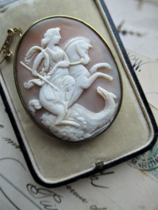 Large Antique Victorian Carved Shell Cameo Brooch Pin