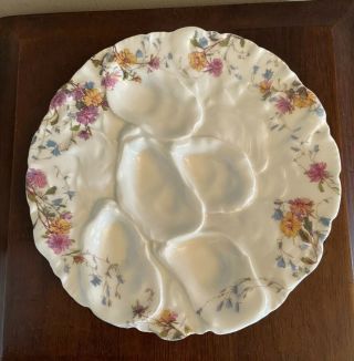 Antique Haviland Limoges " Turkey " Oyster Plate,  Floral Decoration