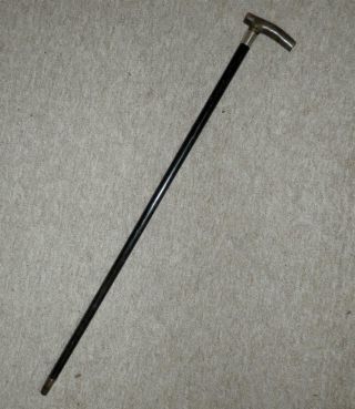 Antique Walking Stick W/ Bovine Horn Handle,  & H/m Silver Collar 