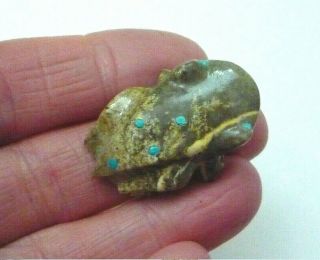 Vintage Zuni Carved Stone Frog Fetish With Turquoise Eyes