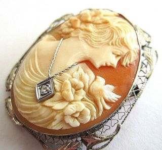 Antique 14k Gold Natural Shell Habille Cameo Pin/ Brooch