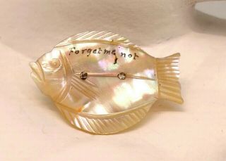 Vtg Hand Carved Mother Of Pearl " Forget Me Not " Victorian Mourning Pin Brooch
