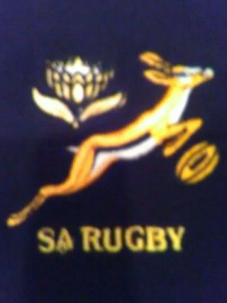 Vtg 90s Nike Team Sa Rugby South Africa Springboks Pullover Jacket Medium