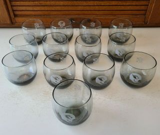 Vintage St Louis Cardinals Football Nfl Smoked Glass Barware Glasses Set Of 13