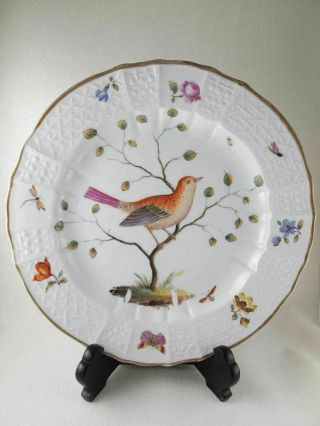 Antique Meissen Helena Wolfsohn Agustus Rex Ar Mark Porcelain 9 1/4 " Bird Plate