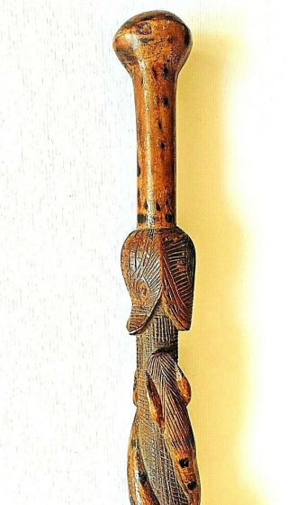 American 19th Century Antique Wood Folk Art Hand Carved Snake Walking Cane 32 "