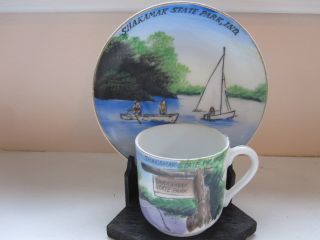Vintage Souvenir Cup & Saucer,  Shakamak State Park,  Indiana,  Hand Painted Art