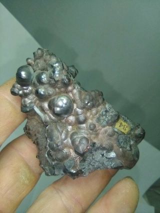 Ex Wards natural science Hematite var Kidney ore from Negaunee Michigan antique 2