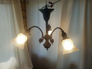 Brass Victorian Triple 3 Arm Chandelier Light,  Etched Frosted Glass,