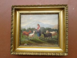 Antique Oil Painting On Canvas Young Girl Feeding Goats 1800 