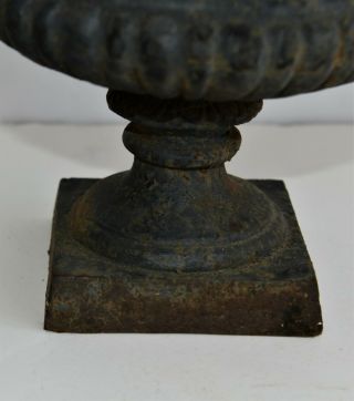 Small Antique French Cast Iron Urn Planter