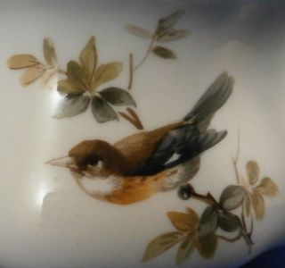 Antique 19thC Meissen Porcelain Bird Scene Inkwell & Lid Porzellan Tintenfass 2