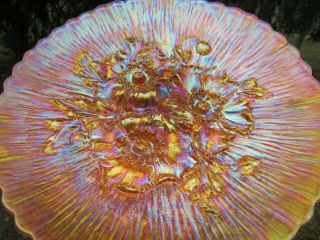 Northwood Poppy Show Antique Carnival Art Glass Plate Marigold Spectacular