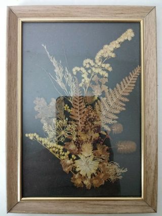 Vtg Dried Pressed Flower Framed Mid Century Art Plant Signed 1969