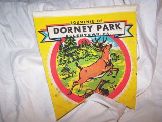 Vintage Dorney Park Pennant Allentown Pa