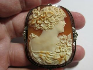 Exquisite Huge Antique Museum Quality Portrait Of A Lady Shell Cameo Pin/pendant