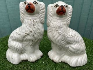 Pair: 19thc Staffordshire Seated White & Gilt Spaniel Dogs C1880s