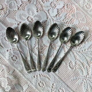6 1890 Josiah Williams & Co Solid Sterling Silver Bright Cut Shell Coffee Spoons