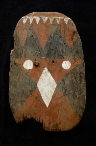 Old War Shield W Arrows Embedded - Southern Highlands Papua Guinea