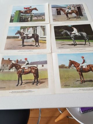 6 / 12 Vintage Schweppes Horse Racing Prints Double Sided Gold Cup L Piggott
