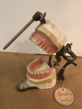 Antique Teeth In Dental Articulator Marked 33 Oddities Macabre Dentistry Rumble
