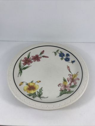 Southern Pacific Lines Prairie Mountain Wildflowers Railroad Plate China Rare