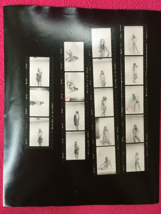 Vintage Contact Sheet Multiple Photos Nude Blonde Girl Undress Breasts Naked